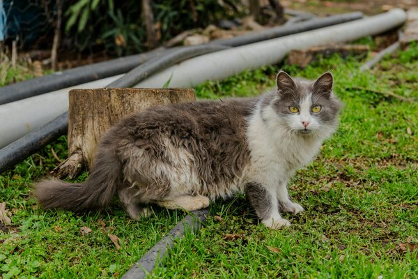 Quels sont les bienfaits des bains de boue pour les femmes enceintes ?
