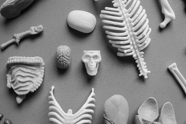 Quels sont les avantages de la marche quotidienne pour les femmes enceintes ?